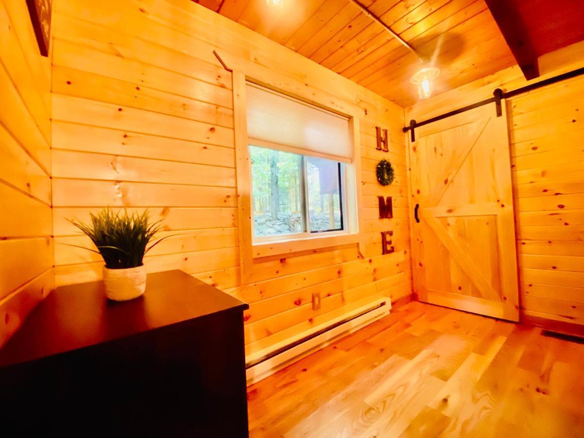Lakeview Cabin In The Hideout Lake Ariel Luaran gambar